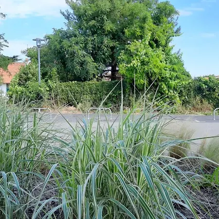 Apartamento Paree D Eau 104 - Avec Piscine - Rez De Jardin 1 Notre-Dame-de-Monts